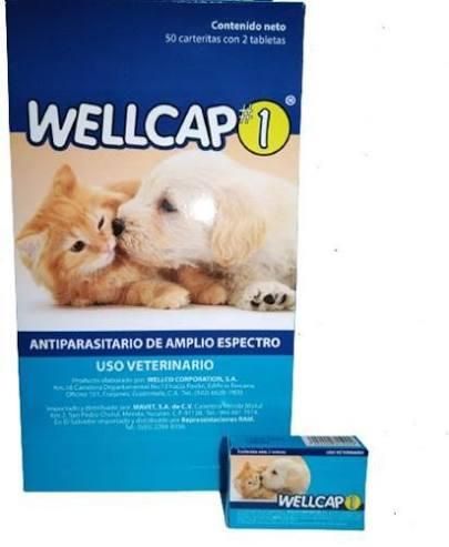 Antiparasitario interno (caja)