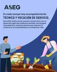 Asesoría técnica campo (servicio)